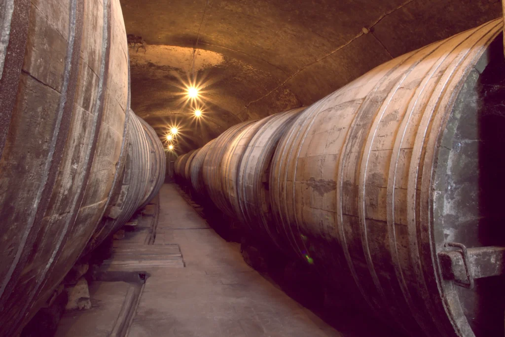Descubriendo un legado ancestral. Bodegas en cerro